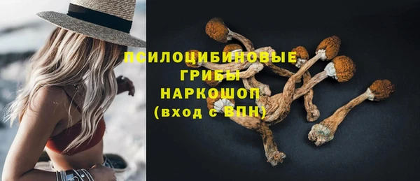 первитин Абинск