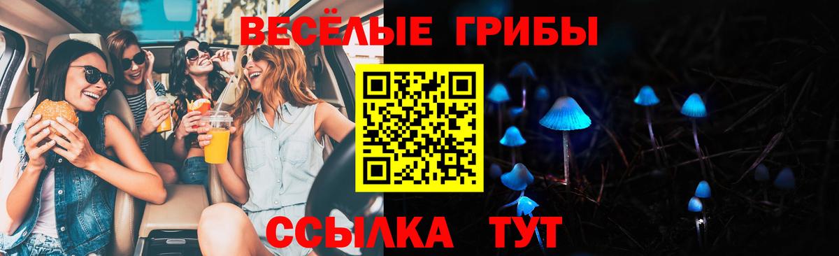 Ялуторовск  Галлюциногенные грибы Cubensis  Вход с VPN 